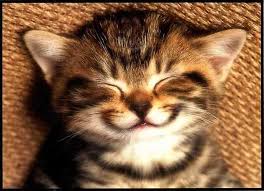 inner smile kitty