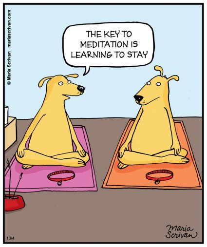 MEDITATION_DOGS-color